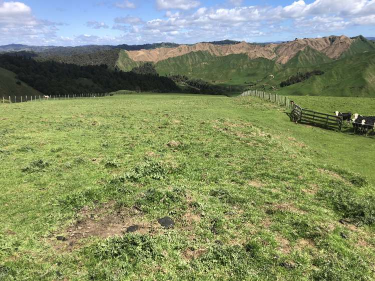 1041 Paparoa Road Whanganui National Park_12