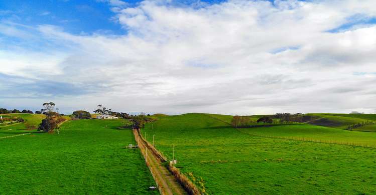 443 Makino Road Feilding_6