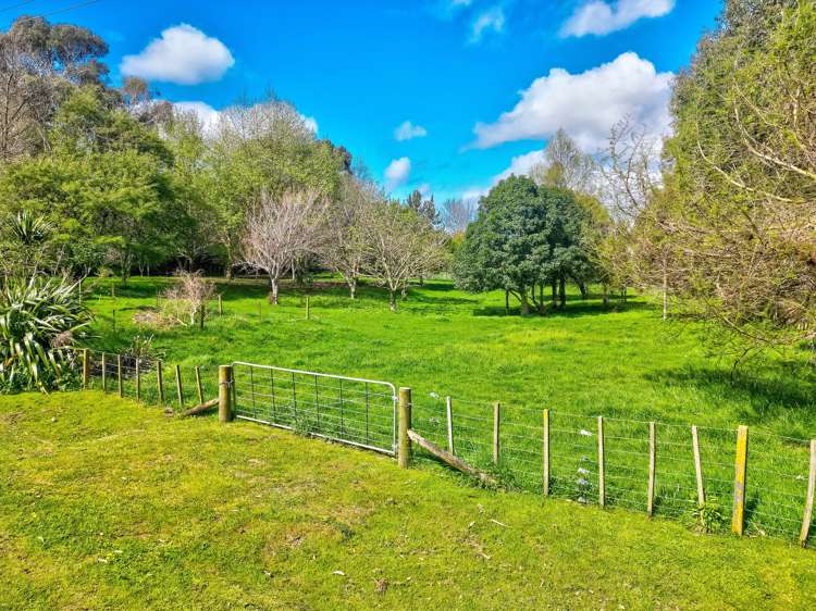 7 Francis Road Westmere_24