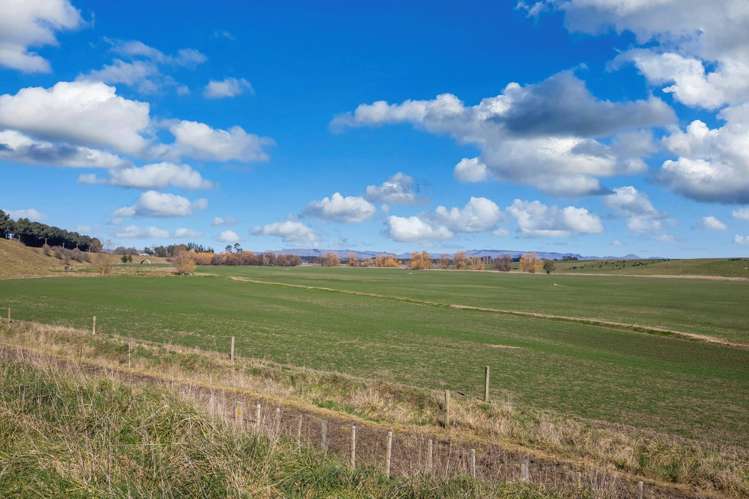 Ngaruru Road Ongaonga_13