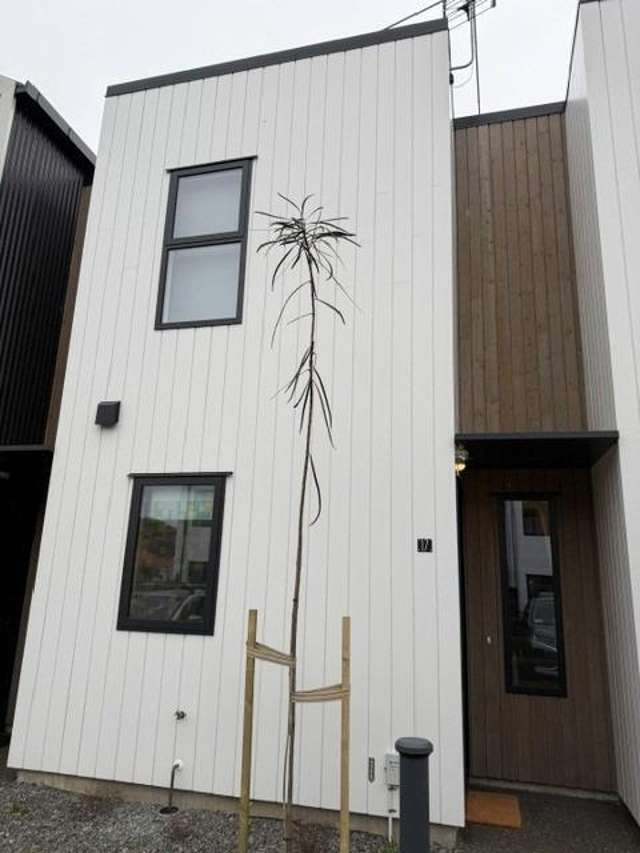 29-25 Pendarves Street Marsland Hill_3