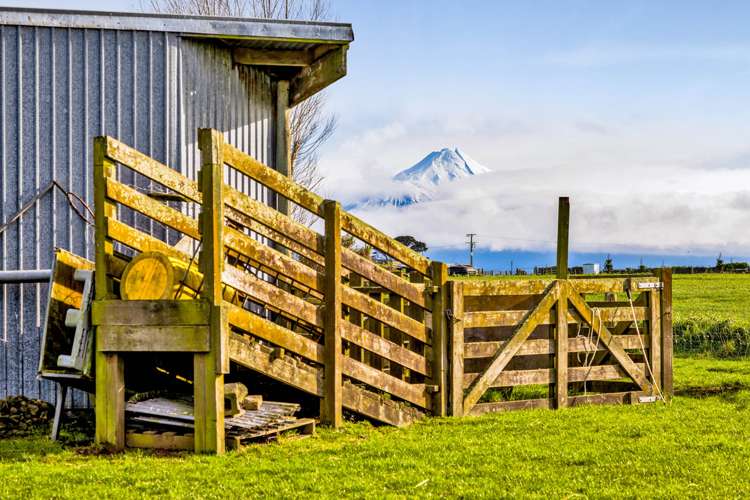 183 Boylan Road Hawera_24