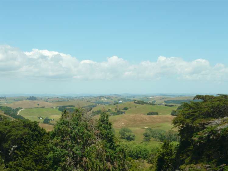 843 Whakapirau Road Whakapirau_17