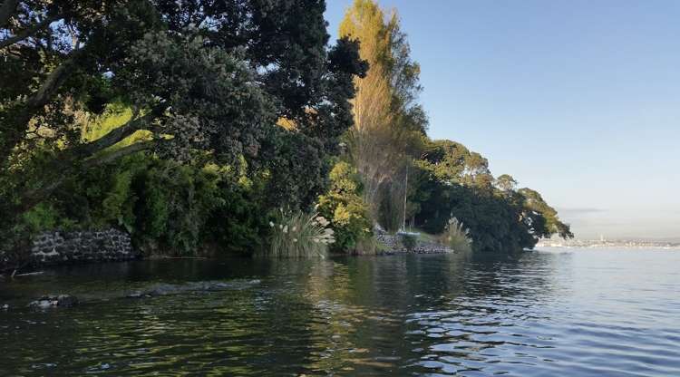 86a Ngataringa Road Devonport_34