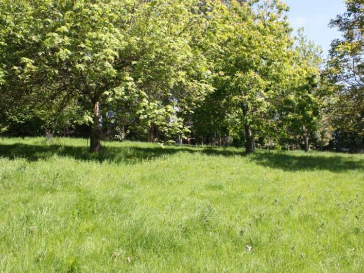 142 Gualter Road Geraldine_10