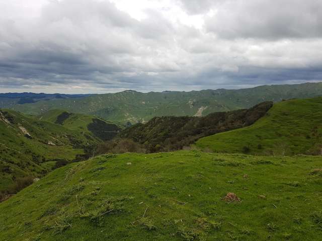 4064 State Highway 4 Kakatahi_4
