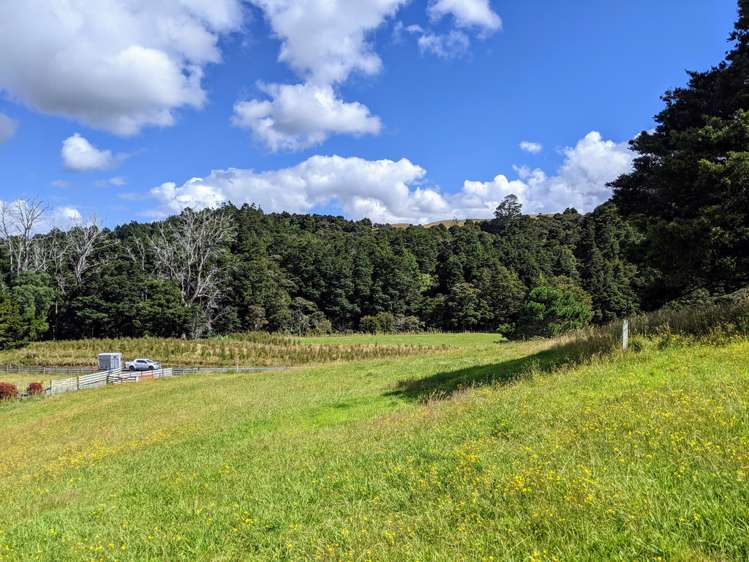 634 West Coast Road Makarau_8