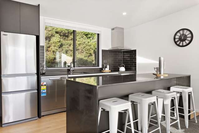 1d Wilkinson Street Oriental Bay_3