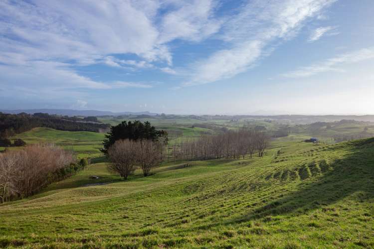 171 Te Arai Point Road Te Arai_4