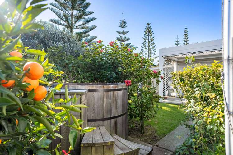 306 Williamson Road Whangamata_24
