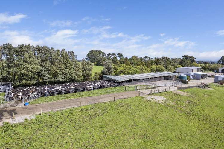 1528 Wiremu Road Opunake_7