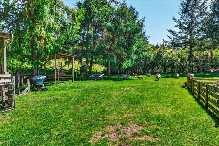 273 Mapara Road Acacia Bay_29