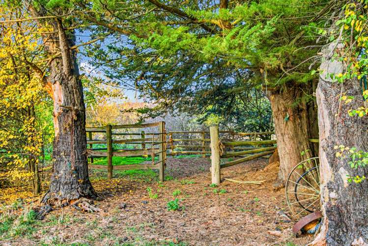 83 Hazeldine Road Waikaia_20