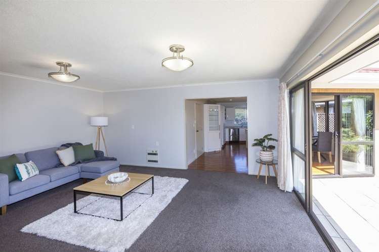 65 Lowry Avenue Redwood_5