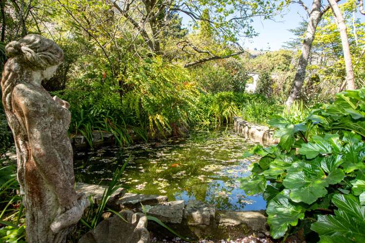 144 Bridle Path Road Heathcote Valley_14