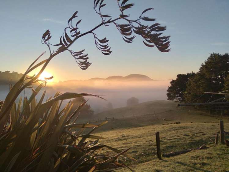 26 Puriri Glade_2