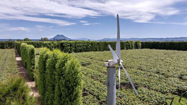 469 Western Drain Road Edgecumbe_3