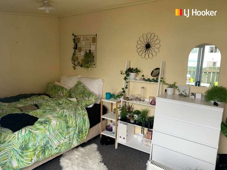 132 Frederick Street North Dunedin_6