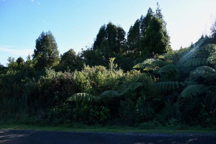 Lot 20 Sunset Heights Road Karamea_11