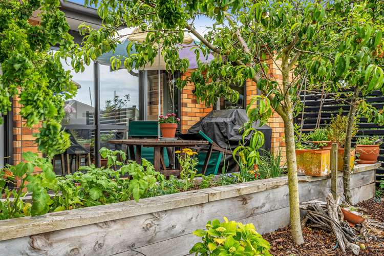 15 Kawari Drive Pegasus_9