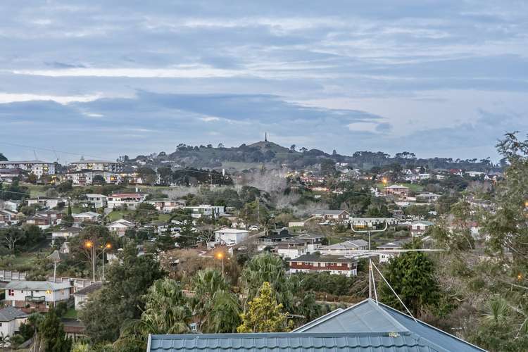 74b Carlton Street Hillsborough_21