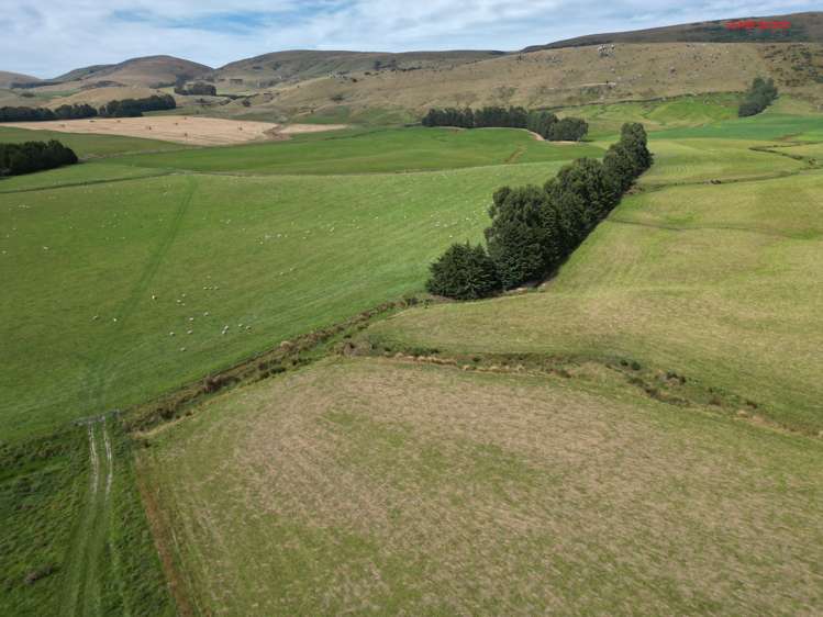 124 Strathearn Road Wairuna_6