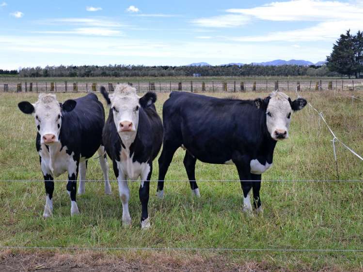 430 Paton Road Hope_16