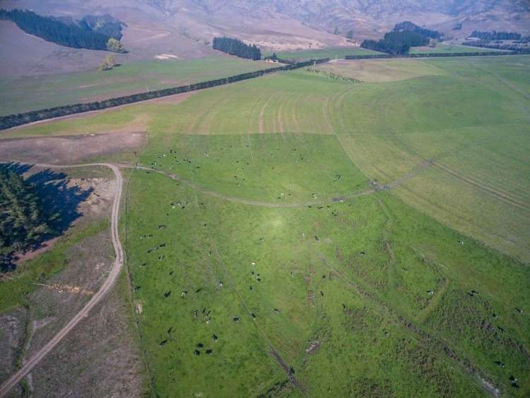 1028 Hurunui Bluff Road Hurunui_3