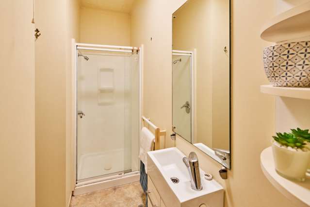 4b/16 Kent Terrace Mount Victoria_4