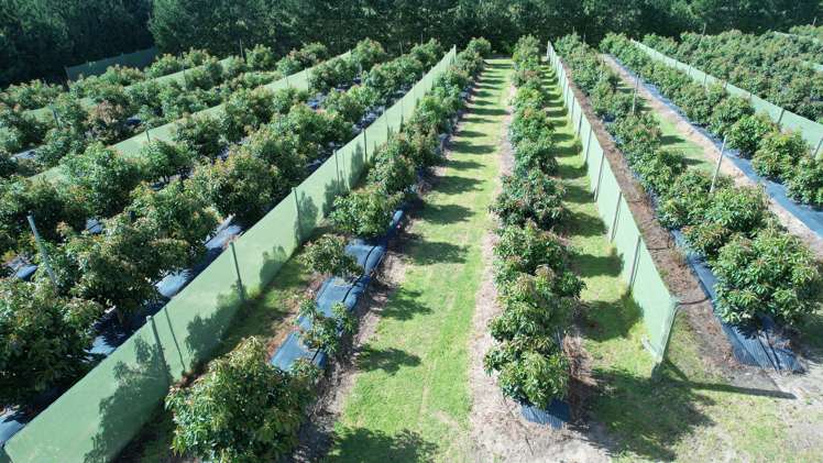 65 Elingamite Drive Pukenui_7