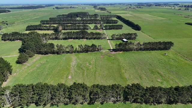 265 Paranui Road Foxton_2