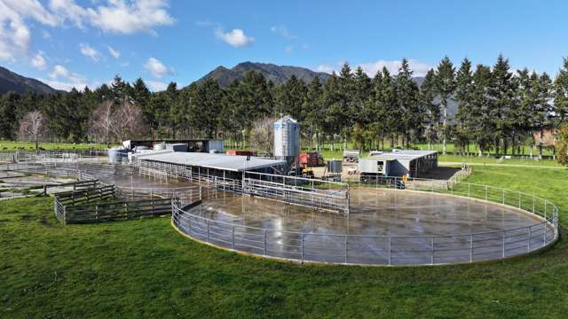 57 Ohutu Road Galatea_3