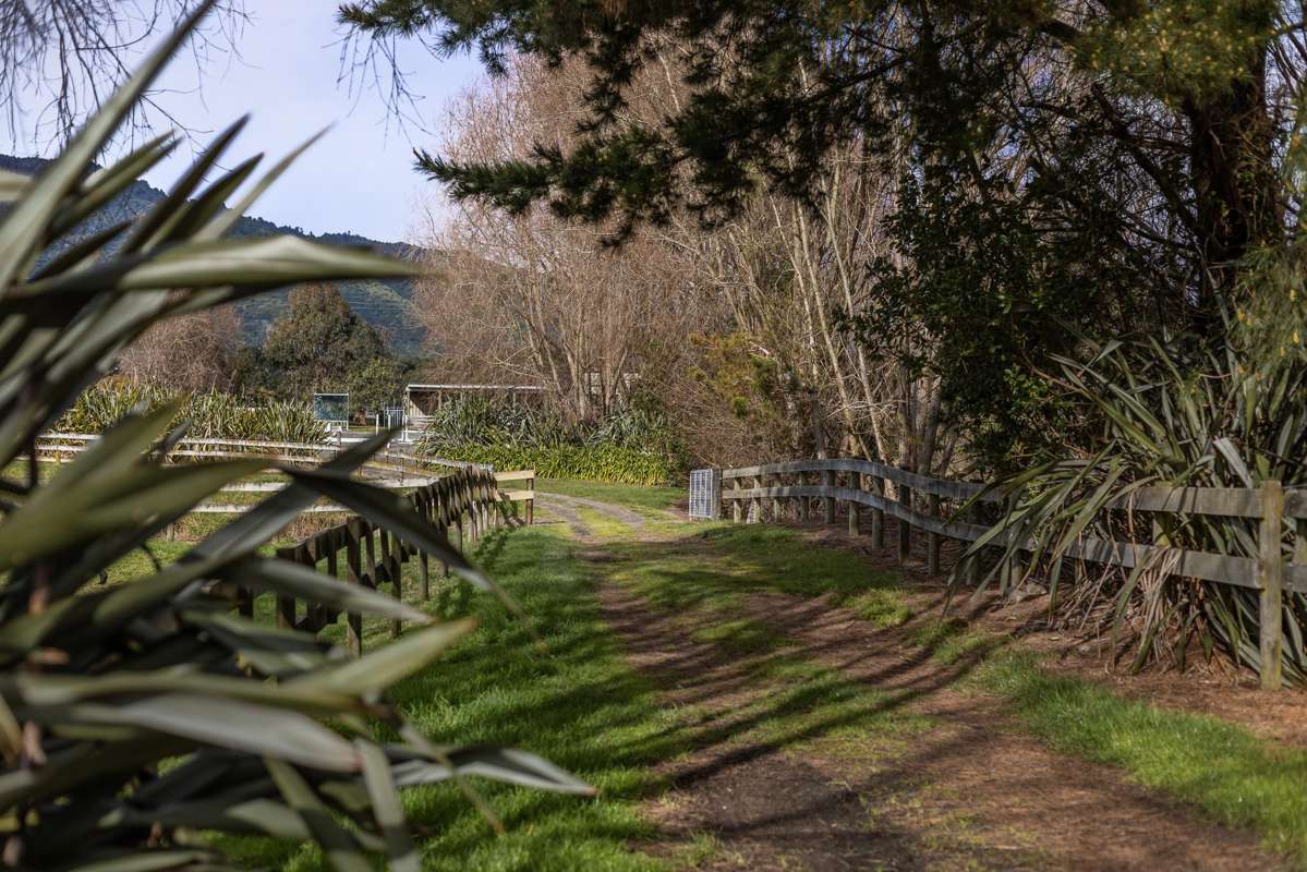 45, 49 and 51 End Farm Road_3