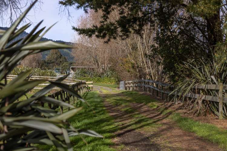 45, 49 and 51 End Farm Road Waikanae_7