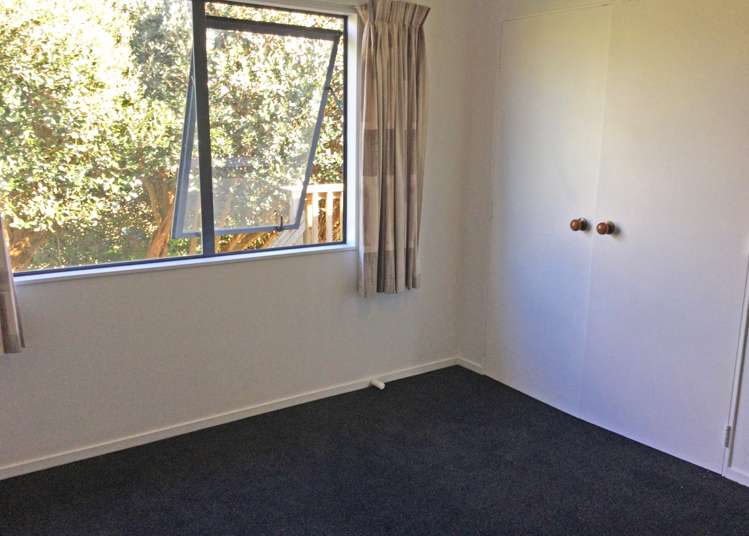 255 Rodney Street Wellsford_8