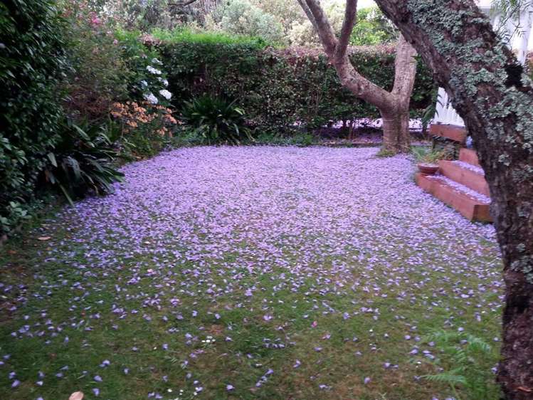 23 Washington Avenue Glendowie_19