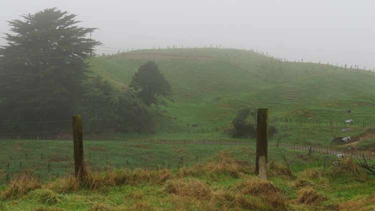 291 Mahoe Road Waitomo_25