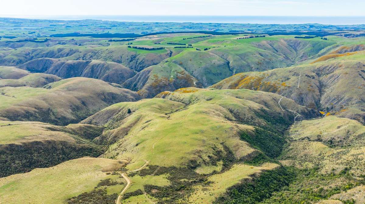 1121 The Dasher Road_1