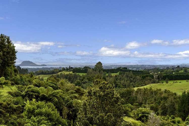 557 Esdaile Road Whakamarama_13