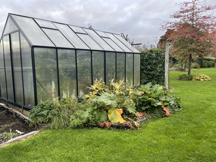 53 Kennedy Street Geraldine_11