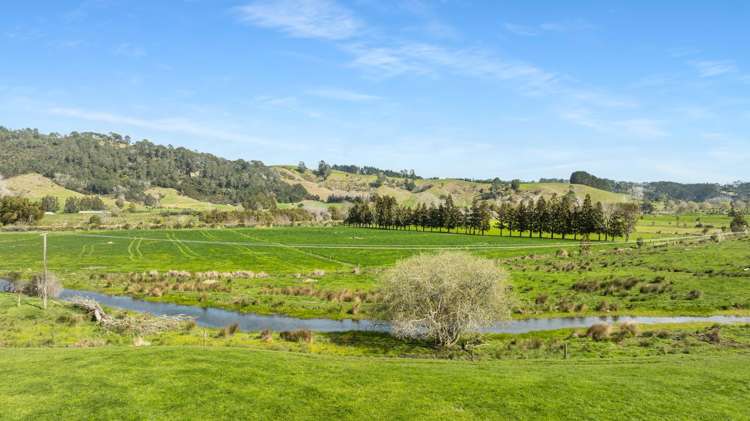 90 Camp Road, Coroglen Tairua_6