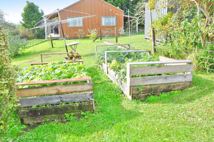 111 Woodcocks Road Warkworth_19