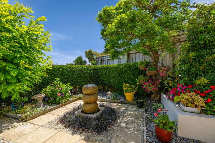 85B Eliot Street New Plymouth_7