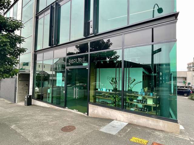 5 Crummer Road Grey Lynn_1
