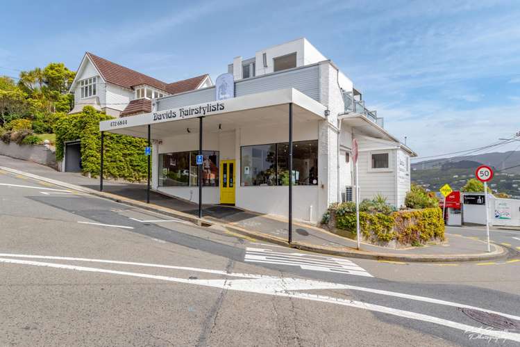 40 Pitt Street Wadestown_33