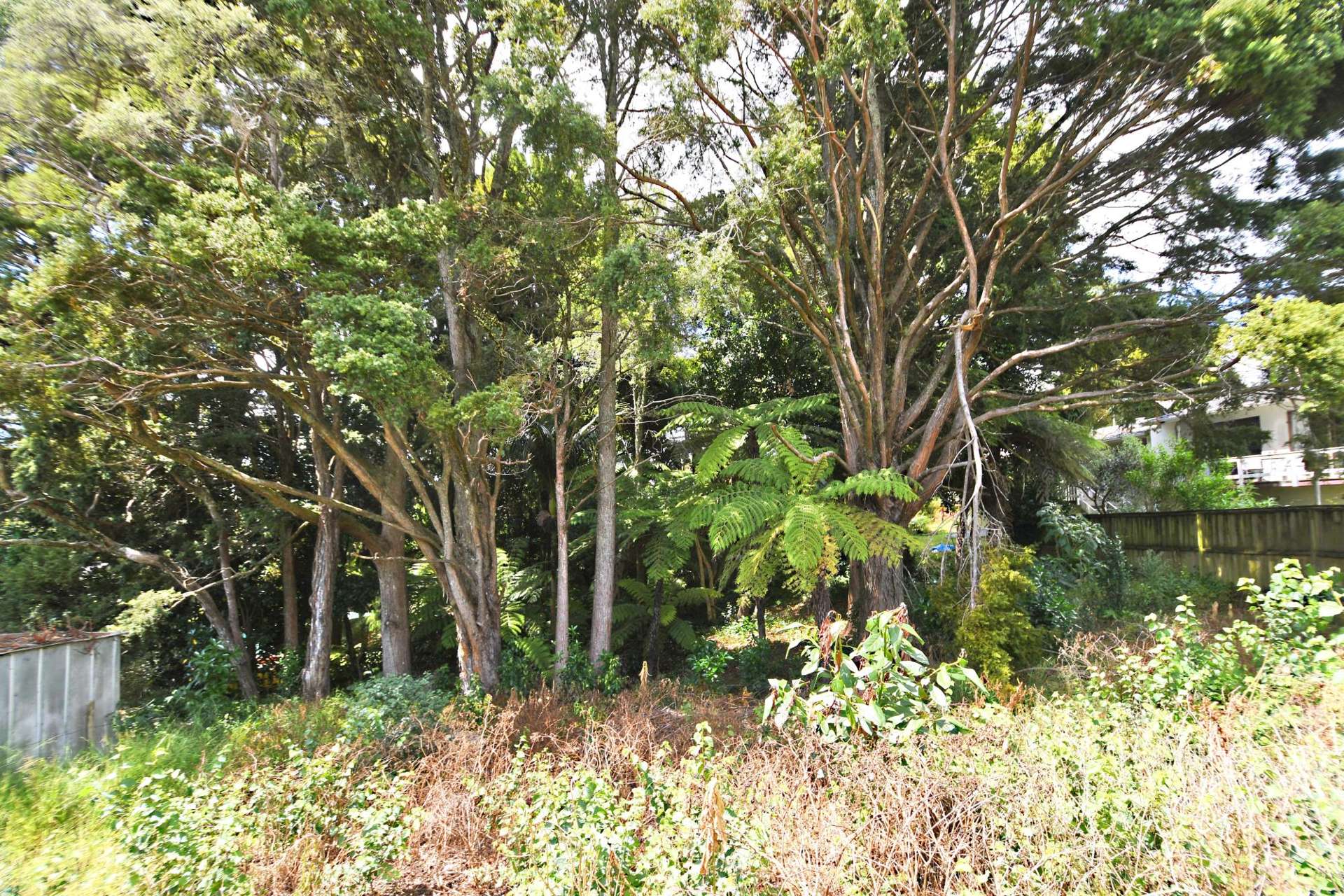 1/51 Hill Street Warkworth_0