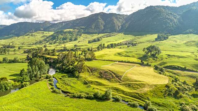 Lot 1 Old Te Aroha Rd Matamata_4