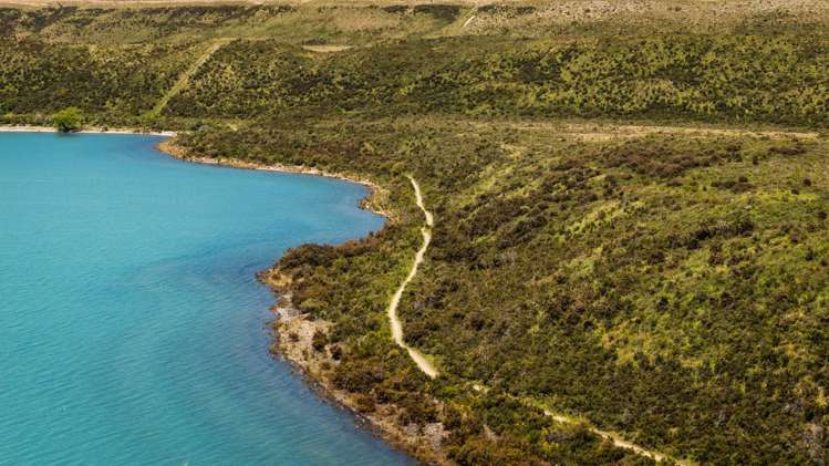 Lagoon Block, Ohau Downs Station Lake Ohau_13