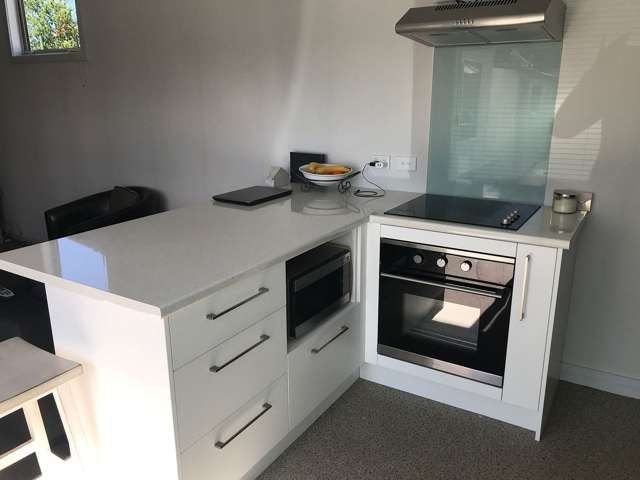 87A Bay View Road South Dunedin_2