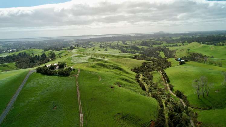 717 Wright Road Aongatete_21